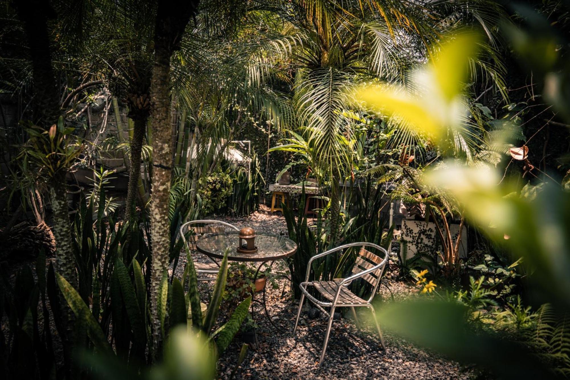 Baraka Antigua Villa Екстериор снимка