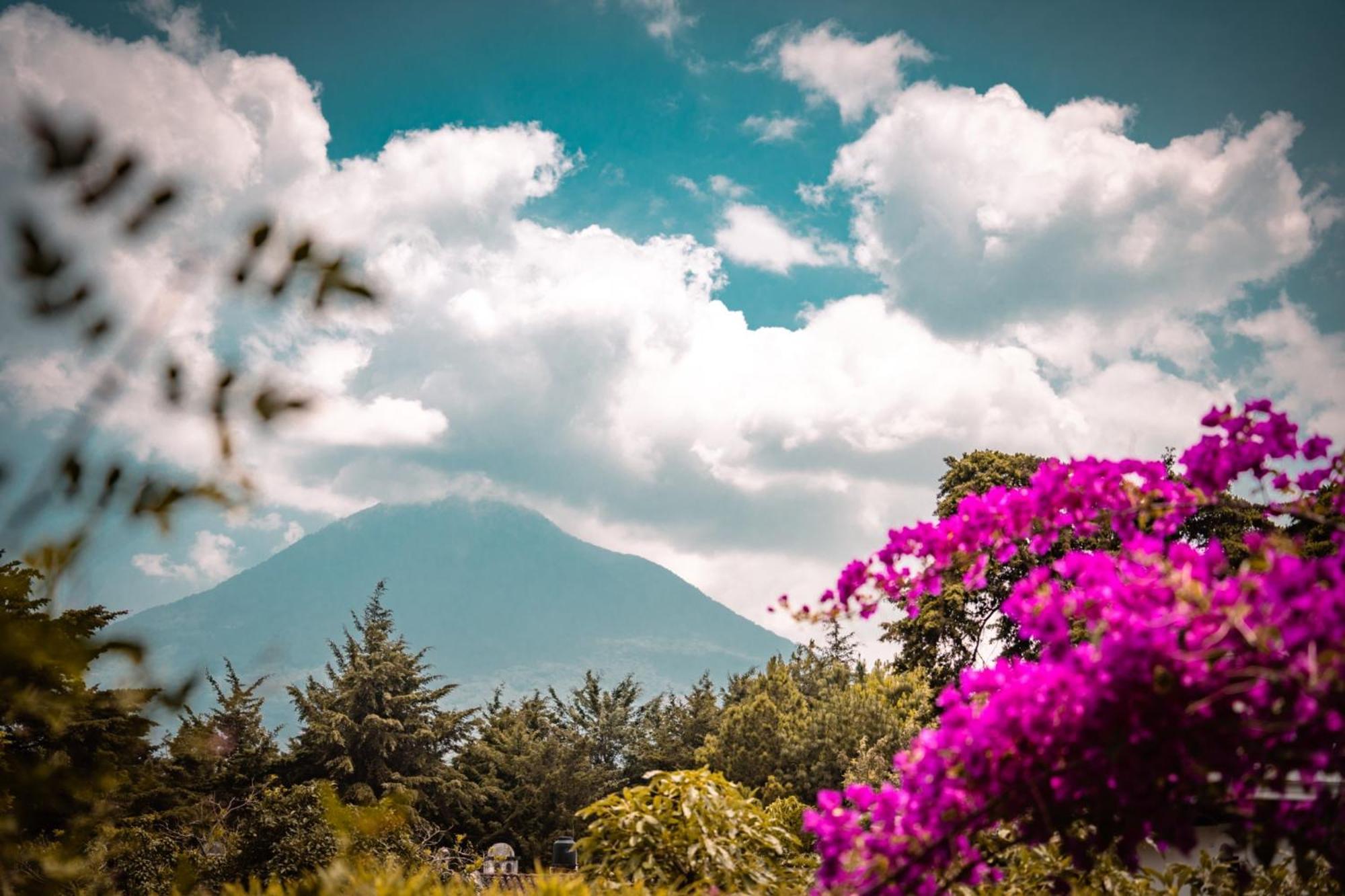 Baraka Antigua Villa Екстериор снимка