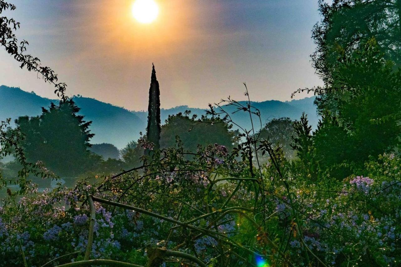 Baraka Antigua Villa Екстериор снимка